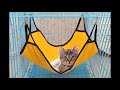 CAT HAMMOCK BEDS SOFT FLEECE 4 COLORS HANGING (50% OFF + FREE SHIPPING)