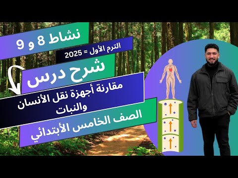 شرح درس نظام النقل في الأنسان والنبات الصف الخامس الأبتدائي الترم الأول 2025 مستر محمد هاني