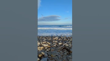 Thumbnail of 17 Mile Drive Pebble Beach California 2022