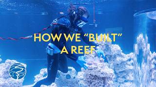 We Finished "Building" Our Coral Reef!