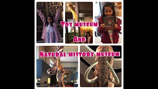 SWITZERLAND Toy and Natural History Museum Tour