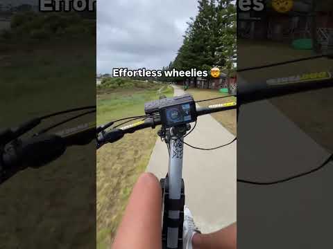 cheap electric cycle
