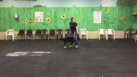 Homework: Freestyle Transitions Week #3