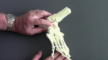 Cuboid Superior and Inferior Glide Mobilization