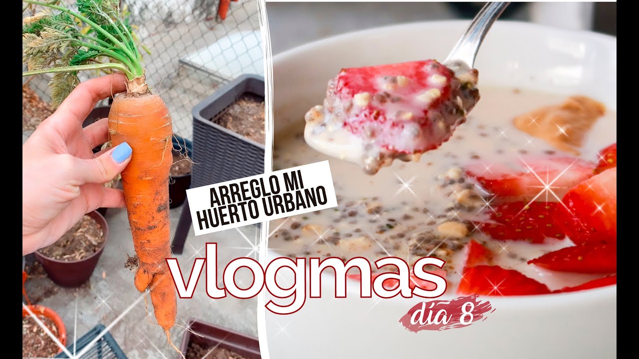 VLOGMAS día 8: mi huerto urbano y lqceud 🌿