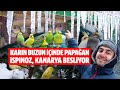 Karların ortasında Sultan papağanı, kanarya, muhabbet kuşu, gökkuşağı ispinozu besliyor / SOHBET