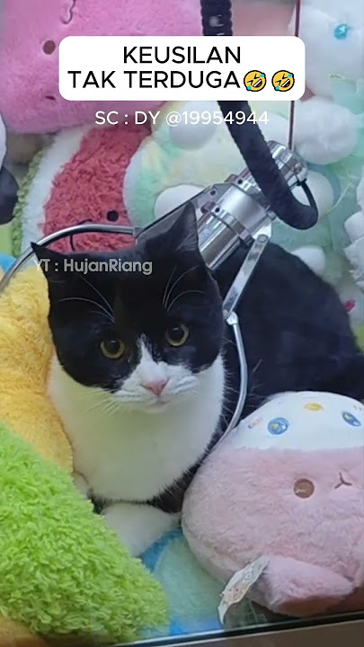 Bermain Mesin Capit EHH ada kucing di dalamnya #mesincapitboneka #capitboneka #shorts #viral