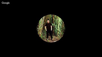 Proyecto integrador semana 4 MIV