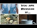 YOU ARE RUSSIAN IF... 10 Russian habits | St. Petersburg - me