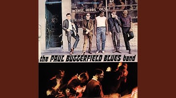 Shake Your Money-Maker