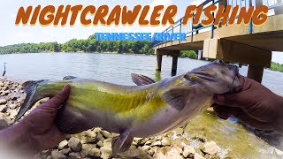 Multi-Species Fishing with Nightcrawlers!!