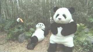 PANDAS DE ARNET
