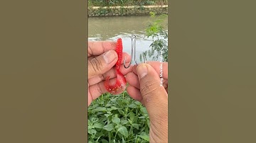 How to Rig a Soft Lure Like a Pro: Easy Step-by-Step Guide 👍👍#fishing #tutorial #fishingtips