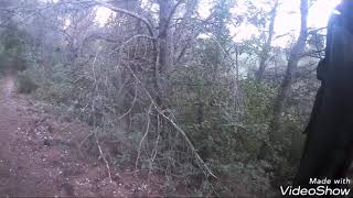 Tir Et Ferme Sur Sanglier Jagd Et X Teckel