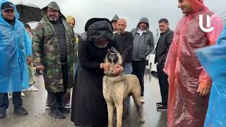 Բագրատ սրբազանի շունը՝ հայկական գամփռ Արքան՝ Չալոյի փոխարեն