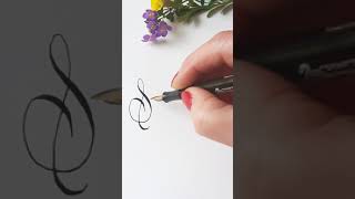 Calligraphy - handwriting