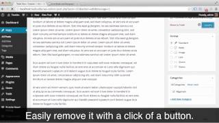 How To Use the WordPress Paragraph Spacing & Line Break Plugin