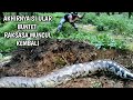 NYATA..!! AKHIRNYA MONSTER ULAR BUNTET MUNCUL MENGGETARKAN TANAH | ULAR PYTHON | MANDA PETUALANG