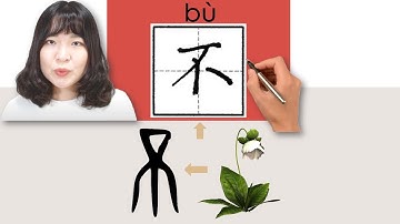 【NEW HSK1】 _不/bu/(no, not) How to Pronounce & Write Chinese Vocabulary/Character Story