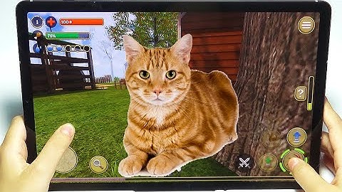Cat Simulator 2020 - Cat Sim Online Game - Play with Cat Clan Pet Simulator 2020 - Android Gameplay