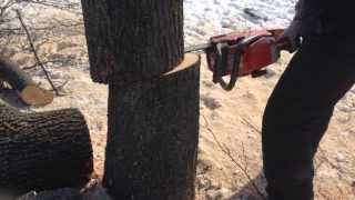 Hanover & Adams County Tree Removal & Landscaping Service Ryan's Landscaping
