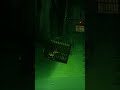 Cat Life - Breaking Out Of Jail #stray #gamingshorts
