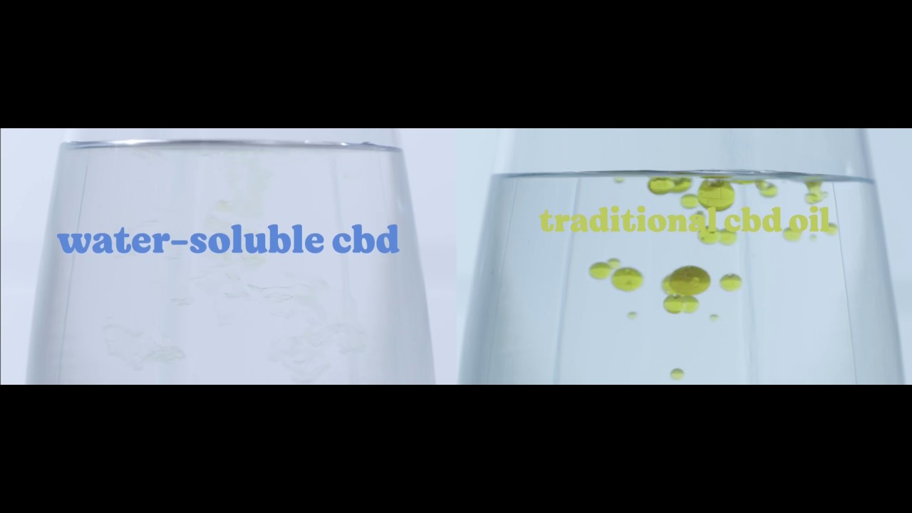 Water Soluble CBD vs CBD oil Comparison