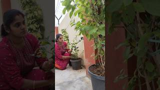 Minivlog Boost Tea June 23,2023