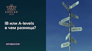 IB или A-levels в чем разница?