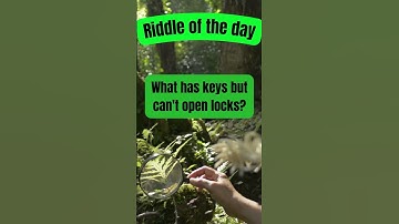 Test Your Brain with This Quick Quiz! (Riddle Time)