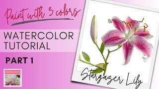 Watercolor Tutorial Stargazer Lily: Painting with 3 colors!  Part 1