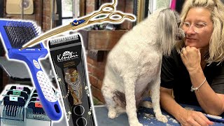 Minimal TOOLS you need to GROOM any DOG and what to buy by Go Groomer 17,797 views 1 year ago 12 minutes, 7 seconds