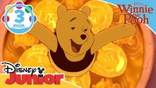 The Mini Adventures of Winnie the Pooh | The Honey Song | Disney Junior UK