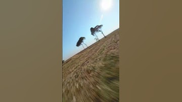 Windy Half Matty Flip / Reverse Split-S #superbaffofpv #djiaction2 #fpvdrone #nazgul