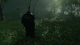 Ghost of Tsushima - Rain