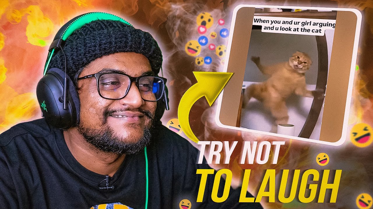 අරන් පලයං මේ පූසව !! | The kota