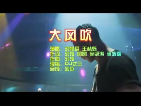 刘惜君 王赫野《大风吹》 DJ沈念版 KTV 导唱字幕 （备有伴奏视频）