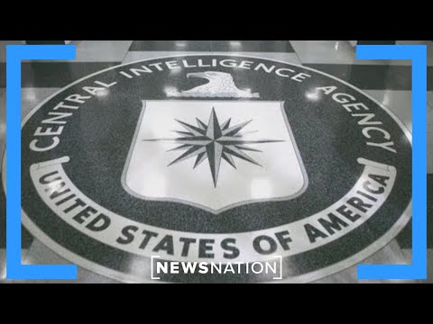 CIA terminates whistleblower prompting flood of sexual misconduct complaints | NewsNation Prime