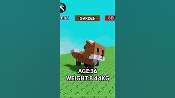 If you would like to trade comment down below 👇 #growagarden #roblox #fypシ