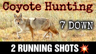 7 Coyotes Down (Two Running Shots) Epic Daytime Coyote Hunting Video