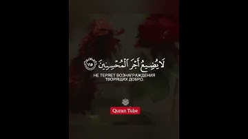 سورة هود __ آية(114-115)  "القارئ : اسلام صبحي". 🌸 _حالات واتس