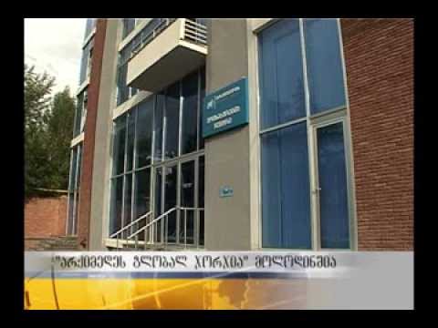 დროებითი მმართველი \"არქიმედე გლობალ ჯორჯია\"-დან გავა