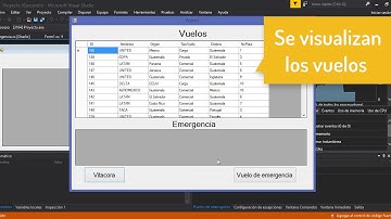 Proyecto Final Programación II