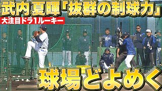 【大注目ルーキー】ドラ1・武内夏暉『“コントロールが抜群すぎて” 球場どよめく』