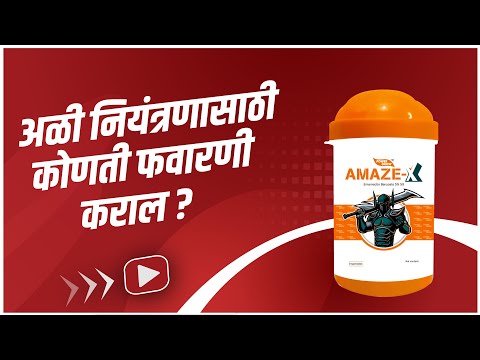 अळींचा करा नायनाट  भेंडी, वांगी, टोमॅटोतील फळ पोखरणाऱ्या अळीवर प्रभावी नियंत्रण AgroStar Amaze X - अळींचा करा नायनाट  भेंडी, वांगी, टोमॅटोतील फळ पोखरणाऱ्या अळीवर प्रभावी नियंत्रण AgroStar Amaze X