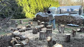 Splitting Fresh Free White Oak Firewood On The Homestead With The Fiskars x27 Axe