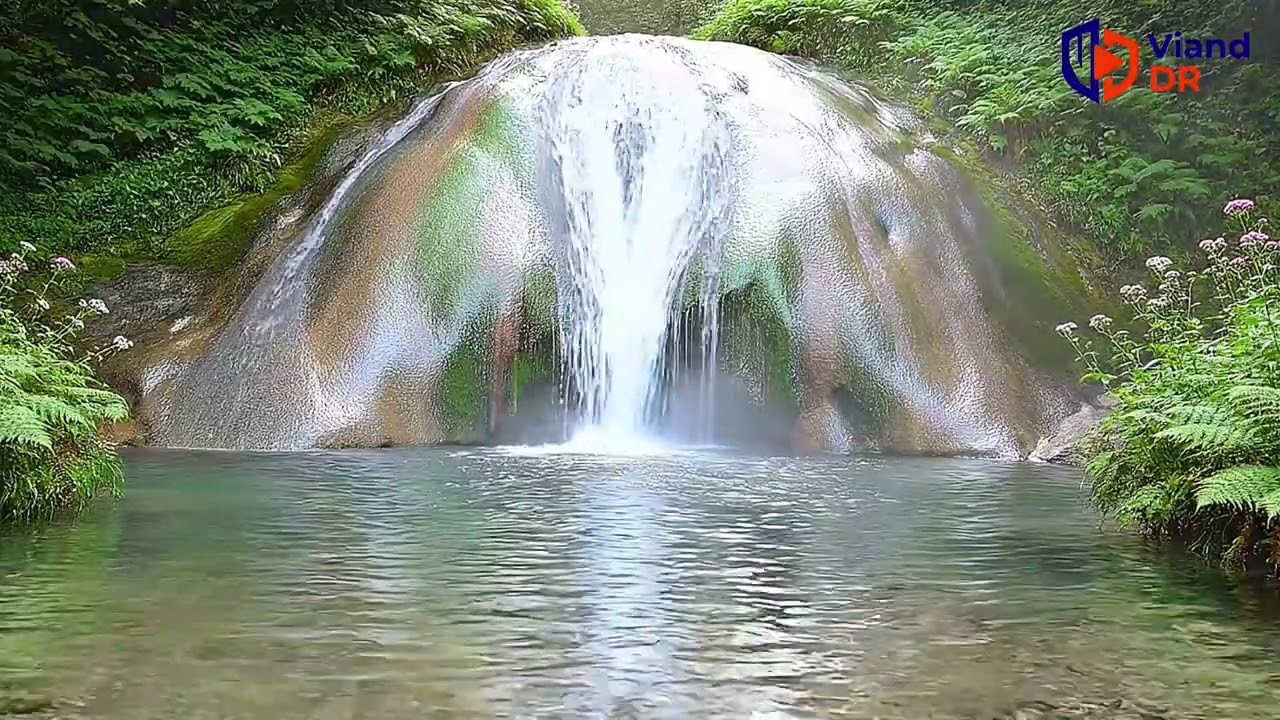 Calm Nature Scenery for Relaxation & Focus | Ambient Music