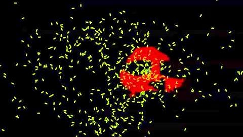 Frienemies: An interactive installation by Monique Naoum