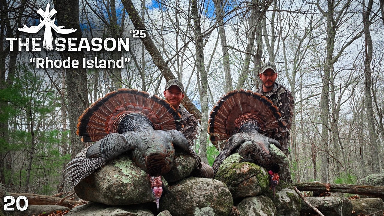 USING LOCATION TO CALL A MID MORNING GOBBLER FROM HIS HENS | 