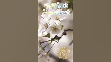 🎧 سورة الأنفال بصوت جميل قاري عبد الباسط عبد الصمد 🎧